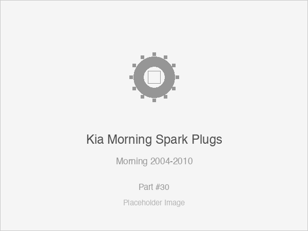 Kia Morning Spark Plugs (NGK Copper)