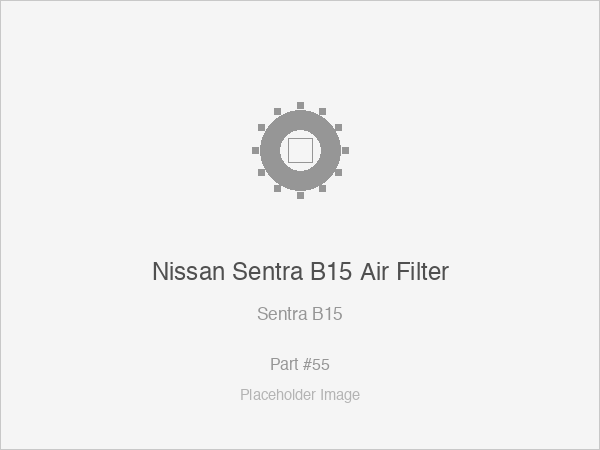 Nissan Sentra B15 Air Filter